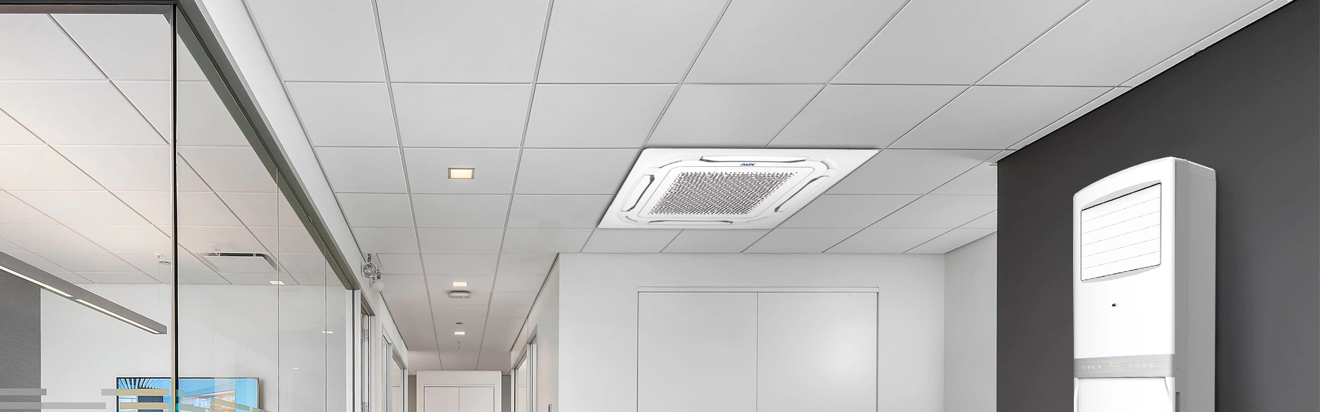 Professional Systems